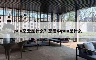 puv戀愛(ài)是什么？戀愛(ài)中pua是什么