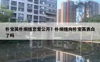 樸寶英樸炯植戀愛公開？樸炯植向樸寶英表白了嗎