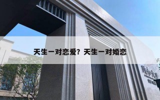 天生一對(duì)戀愛(ài)？天生一對(duì)婚戀