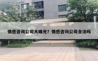 情感咨詢公司大曝光？情感咨詢公司合法嗎