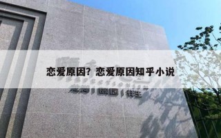 戀愛原因？戀愛原因知乎小說