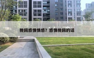 挽回感情情感？感情挽回的話