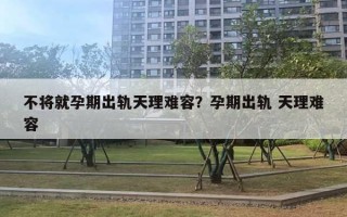 不將就孕期出軌天理難容？孕期出軌 天理難容