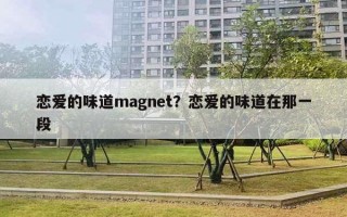 戀愛的味道m(xù)agnet？戀愛的味道在那一段