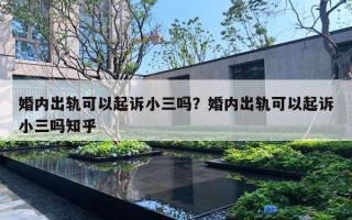 婚內(nèi)出軌可以起訴小三嗎？婚內(nèi)出軌可以起訴小三嗎知乎