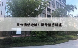 靈兮情感地址？靈兮情感講座