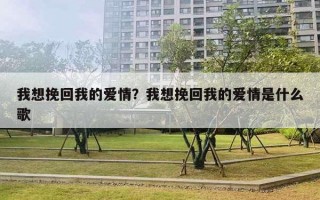 我想挽回我的愛情？我想挽回我的愛情是什么歌