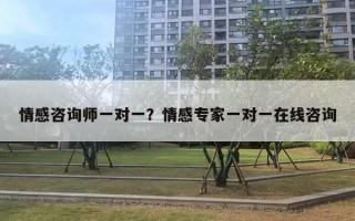 情感咨詢師一對(duì)一？情感專家一對(duì)一在線咨詢