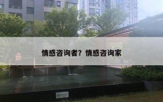 情感咨詢者？情感咨詢家