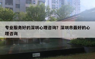 專業(yè)服務(wù)好的深圳心理咨詢？深圳市最好的心理咨詢